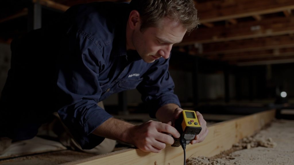 What to actually do if your mandeville crawl space